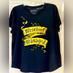 EUC Warner Bros Black and Gold Harry Potter Tee Size 2XL